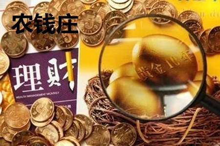 農(nóng)錢莊加盟